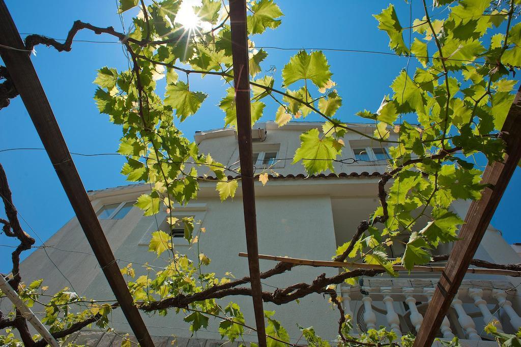 Guest House Maslina Petrovac Buitenkant foto